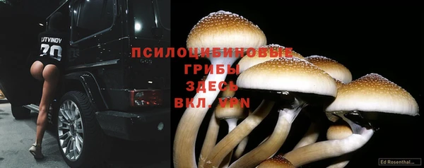 спайс Балабаново