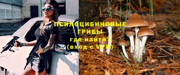 амф Баксан